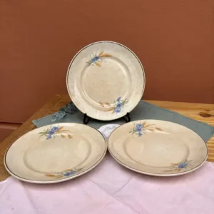 Plato Postre Hartford Ribetes Dorados con Flores Azules