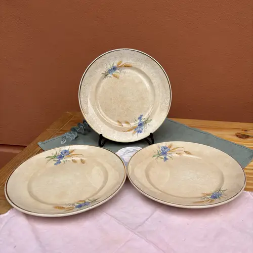 Plato Postre Hartford Ribetes Dorados con Flores Azules