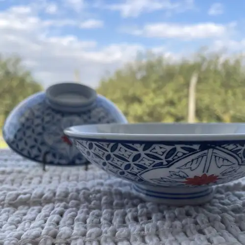 Vajilla Japonesa Cuenco estilo donburi - Image 3