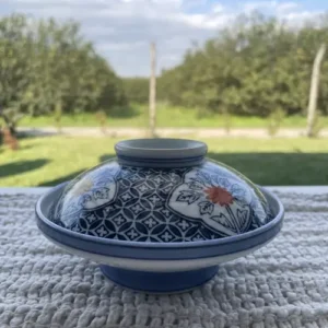 Vajilla Japonesa Cuenco estilo donburi