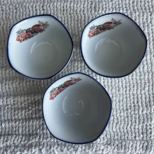 Vajilla Japonesa Elegante cuenco de porcelana