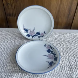 Vajilla Japonesa Elegante plato de porcelana