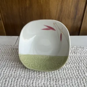Vajilla Japonesa Cuenco con formato semi-cuadrado
