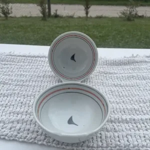 Cuenco Japonés de Porcelana con Líneas Finas (14x6 cm)