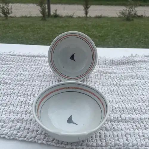Cuenco Japonés de Porcelana con Líneas Finas (14x6 cm)