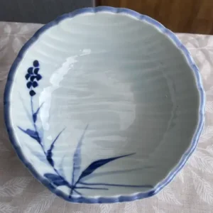 Bowl de Porcelana Japonesa (17x5.5 cm)